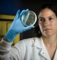 Amy Pruden, a professor of civil and environmental engineering at Virginia Tech, investigates problems caused by pathogens in tap water.
