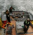 The PNNL crew heads out from the mouth of the Columbia River and into the ocean. The yellow receivers are attached to the round anchors and can detect fish up to 250 meters away. L-R: Scott Titzler, Ryan Harnish, Mike Hughes.