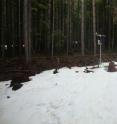 A mounted camera shows snow sticking in an open area, while it appears to have melted under the trees in dense, second-growth forest just behind.