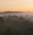 Providing forest conservation measures are in place, the Amazon rainforest may be more able to withstand periods of drought than has been estimated by other climate models.
