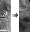Left: An electron micrograph shows cracks left in a self-healing polymer coating due to swelling of its silicon electrode during charging. Right: Five hours later, the smaller cracks have healed. Left: An electron micrograph shows cracks left in a self-healing polymer coating due to swelling of its silicon electrode during charging. Right: Five hours later, the smaller cracks have healed.