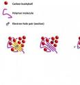 Stanford scientists may have resolved a debate over how organic solar cells turn sunlight into electricity. The question: What causes electron-hole pairs (excitons) to split apart? The likely answer: a gradient at the solar cell interface between disordered polymers and ordered buckyballs splits the exciton, allowing the electron (purple) to escape and produce an electric current.