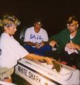 Evidence that sharks utilize the same nursery areas across generations underscores the critical importance of preserving local nursery habitats and can provide strong input in designating inshore marine reserves that would protect sharks of future generations.