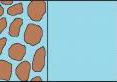 The attached image shows the boundary of the soil aggregate (left), the bulk soil geometry comprising of a collection of aggregates (middle) and the internal pore structure of the soil aggregate, which is composed of a selection of soil particles (right). The soil particles are shown in brown, the water in blue and the air bubbles in white.