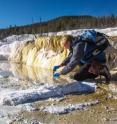 Study leader Bruce Fouke conducts research on microbes in extreme environments. His work in Yellowstone offers a basis for interpreting new research on subterranean microbes.