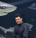 SFU marine biodiversity expert Nick Dulvy has co-authored the first research paper to find that one quarter of the world's sharks and rays face extinction. SFU marine biodiversity expert Nick Dulvy has co-authored the first research paper to find that one quarter of the world's sharks and rays face extinction.