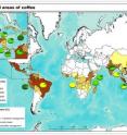 This shows the percentage (%) of the cultivated coffee area managed under different technology or shade levels. Diverse shade
has a closed or nearly closed canopy (more than 40% cover), with 10 or more species of shade trees. Scant shade has a
minimal but existing canopy (1%-40% cover) and usually 1 or 2 species of shade trees (all with fewer than 10 species). Sun
coffee has no shade or shade trees in the production area. Abbreviations: ha, hectares; km, kilometers. Source: The data are from the 2010 data set from FAO (2014).