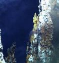 Near deep-sea hydrothermal vents, armies of bacteria and viruses wage undersea warfare.