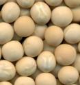 A new study examined the mineral micronutrient content of four types of grain legumes. Grain legumes are often overlooked as valuable sources of micronutrients, such as zinc and potassium.