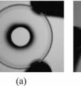 This is (a) Optical and mechanical structure of the customized lens with aperture filter and (b) the photograph of the assembled lens, with a quarter for comparison.