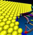 A DNA molecule passes through a nanopore in a sheet of molybdenum disulfide, a material that researchers have found to be better than graphene at reading the DNA sequence. A DNA molecule passes through a nanopore in a sheet of molybdenum disulfide, a material that researchers have found to be better than graphene at reading the DNA sequence.