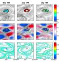 (A) This image shows Chl cropped according to patch boundaries, which are identified as regions of strong gradients in the Chl field. Note the abrupt change in patch biomass as reflected in temporal variations in Chl values. For the equivalent images before cropping, see Figure S1.
(B) Okubo-Weiss (OW) parameter emphasizing the core of the eddy in which the patch is embedded as a region in the velocity field dominated by vorticity (negative OW) rather than deformation (positive OW). 
(C) Attracting LCSs, which delineate transport barriers that separate between the patch and its surroundings. The images are from June 6, 2012, June 22, 2012, and July 2, 2012 (days 158, 174, and 184, respectively). Arrows represent the geostrophic surface currents. Purple dots mark the location of the patch centroid. Black contours delineate the patch boundaries. Green circles mark the 30 km disc around the patch centroid.