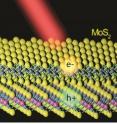 This is an illustration of a MoS2/WS2 heterostructure with a MoS2 monolayer lying on top of a WS2 monolayer. Electrons and holes created by light are shown to separate into different layers. This is an illustration of a MoS2/WS2 heterostructure with a MoS2 monolayer lying on top of a WS2 monolayer. Electrons and holes created by light are shown to separate into different layers.