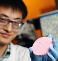 Yi Zhang, a graduate student co-advised by professor Sven Behrens and professors Carson Meredith in the School of Chemical & Biomolecular Engineering at Georgia Tech, is shown holding a porous solid material prepared from a capillary foam. Yi Zhang, a graduate student co-advised by professor Sven Behrens and professors Carson Meredith in the School of Chemical & Biomolecular Engineering at Georgia Tech, is shown holding a porous solid material prepared from a capillary foam.