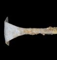 This image shows an iron "curry comb" found with the chariot fittings.