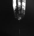 This is a microscope image of the liquid jet in vacuum. The glass nozzle you see there has a diameter of 1 mm and the thin liquid jet coming out from the nozzle has a diameter of only 20 &micro;m.