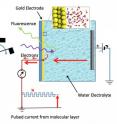 Schematic of the electrochemical cell – a silicon nitride (Si3N4) membrane separates the liquid from vacuum region of the x-ray source; a 20nm thin-film gold electrode is deposited on liquid side of the membrane. Detection of x-ray absorption is via fluorescence emission on the vacuum side or electron emission at the gold electrode.
