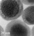 This transmission electron microscopy image shows the nanoparticles, which consist of a core that glows blue when struck by near-infrared light, and an outer fabric of porphyrin-phospholipids (PoP) that wraps around the core.