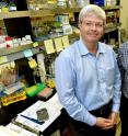 Herbert W. Virgin, MD, PhD (left), and Thad Stappenbeck, MD, PhD, have shown that mothers can pass a trait to their offspring through the DNA of bacteria. The finding suggests that microbes may play a significant role in how genes influence illness and health in higher organisms.