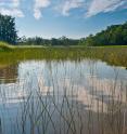 Little Nutton Hook, the conservation project by Scenic Hudson that was featured in the paper by Paul Armsworth, University of Tennessee associate professor of ecology and evolutionary biology.