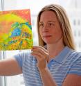 Maren Roman is an associate professor of sustainable biomaterials in the College of Natural Resources and Environment at Virginia Tech.