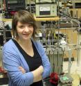 University of Utah paleoecologist Kendra Chritz was first author of a new study debunking the idea that early human herders, moving from northern Africa to southern Africa, could not have traveled just east of Lake Victoria in Kenya some 2,000 years ago because the area was bushy, moist and filled with tsetse flies that cause deadly sleeping sickness in livestock and people. Her analysis of 86 teeth of ancient wildlife and livestock show the animals were eating a largely grassy diet in the area.