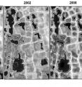 Satellite images show how Arctic ponds have slowly decreased in size since 1948.