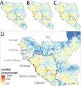 Princeton University and Johns Hopkins University researchers report the African countries most affected by the 2014 Ebola outbreak -- Guinea, Liberia and Sierra Leone -- could now be highly susceptible to measles epidemics due to severe disruptions in routine health care such as measles vaccinations. The researchers mapped the distribution of the estimated 778,000 children aged 9 months to 5 years in Guinea, Liberia and Sierra Leone who had not been vaccinated against measles before the Ebola outbreak (A). Based on surveys from health-care providers, the researchers assumed that vaccinations against measles decreased 75 percent after the onset of Ebola. They then projected how the numbers of children unvaccinated against measles would increase 6 months (B), 12 months (C) and 18 months (D) after Ebola. Panel D includes the pre-Ebola distribution of measles-unvaccinated children in neighboring countries, which would be vulnerable to measles epidemics in Guinea, Liberia or Sierra Leone.