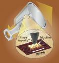 Motor oil contains chemical additives that extend how long engines can run without failure, but, despite decades of ubiquity, how such additives actually work to prevent this damage have remained a mystery. Now, engineers from the University of Pennsylvania and ExxonMobil have teamed up to answer this question. In their experiments, the tip of an atomic force microscope stands in for an individual point of roughness on engine surfaces. The tip also provides data on the amount of force necessary to break the additive down into a film that protects the surfaces.