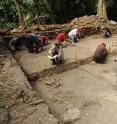 Archaeologists excavate an early residential structure at Ceibal, from about 500 B.C.