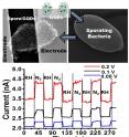 Graphene quantum dots deposited on a sporating bacteria produces a graphene coated spore. Upon attachment of electrodes across the cell, a bio-electronic device is produced that is highly sensitive to humidity. Here, the spore reacts actively to humidity; and the reaction is translated to an electronic response from the interfaced graphene quantum dots.