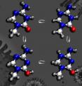 This image depicts the shape-shifting capabilities of the anti-HIV drug KP1212. The drug can alter its 
molecular structure to resemble natural DNA bases, allowing it to penetrate the virus's immunological defenses without detection. The colors represent blue for nitrogen atoms, red for oxygen atoms, white for carbon atoms, and silver for hydrogen atoms.