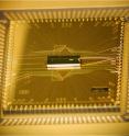 A photograph of the completed BGA trap assembly. The trap chip is at the center, sitting atop the larger interposer chip that fans out the wiring. The trap chip surface area is 1mm x 3mm, while the interposer is roughly 1 cm square.