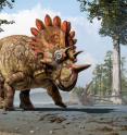 This is an artistic life reconstruction of the new horned dinosaur <i>Regaliceratops peterhewsi</i> in the palaeoenvironment of the Late Cretaceous of Alberta, Canada.