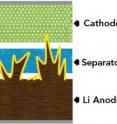Dendrites -- fingerlike deposits of lithium metal -- grow from the surface of a battery anode and penetrate the separator between the battery's halves. When this happens the battery can short-circuit, overheat and burst into flame. A study by SLAC and Stanford found that adding two chemicals to the battery's electrolyte could prevent this growth in next-generation lithium metal batteries. Dendrites -- fingerlike deposits of lithium metal -- grow from the surface of a battery anode and penetrate the separator between the battery's halves. When this happens the battery can short-circuit, overheat and burst into flame. A study by SLAC and Stanford found that adding two chemicals to the battery's electrolyte could prevent this growth in next-generation lithium metal batteries.