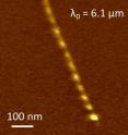 This s-SNOM infrared image shows Luttinger-liquid plasmons in a metallic single-walled nanotube.
