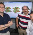 Brookhaven physicists Igor Zaliznyak, Alexei Tsvelik, and Cedomir Petrovic are with models representing electron spin correlations in an iron-based superconductor. Brookhaven physicists Igor Zaliznyak, Alexei Tsvelik, and Cedomir Petrovic are with models representing electron spin correlations in an iron-based superconductor.