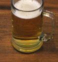 A new study in the journal <i>Molecular Biology and Evolution</i> examined the innovations and origins of lager beer.