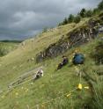 Thse are semi-natural grassland plots at Buxton Climate Change Impacts Lab.