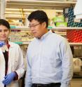 Professor Chin-Yo Lin works with Ph.D. student Sridevi Addanki in his lab at the Center for Nuclear Receptors and Cell Signaling in the College of Natural Sciences and Mathematics at the University of Houston.