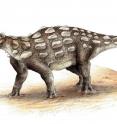 Life illustration of <i>Gobisaurus</i>, an ankylosaur with a stiff tail but no knob of bone at the end.