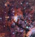 The rich patchwork of gas clouds in this new image make up part of a huge stellar nursery nicknamed the Prawn Nebula (also known as Gum 56 and IC 4628). Taken using the MPG/ESO 2.2-metre telescope at the La Silla Observatory in Chile, this may well be one of the best pictures ever taken of this object. It shows clumps of hot new-born stars nestled in among the clouds that make up the nebula.
