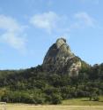 This is a volcanic plug in Cape Hillsborough National Park, Queensland. This is a volcanic plug in Cape Hillsborough National Park, Queensland.