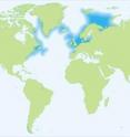 Atlantic cod is widely distributed on both sides of the North Atlantic Ocean and beyond.