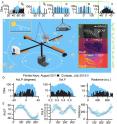 Researchers from FAU's Harbor Branch and collaborators collected more than 1,500 video-polarimetry measurements from live fish from distinct habitats under a variety of viewing conditions, and have revealed for the first time that fish have an "omnidirectional" solution they use to camouflage themselves, demonstrating a new form of camouflage in nature -- light polarization matching. The top panel in black/white shows the intensity and the two other panels resolve different aspects of polarized light scattered off the fish.
