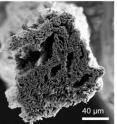 This is scanning electron microscopy imagery of a graphene fiber made from microwave reduced graphene oxide.