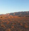 This is a view of arid mountains at dusk in the Richtersveld Community Conservancy, South Africa.
