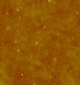 AFM (Atomic force microscopy) image of silver nanoparticles formed from silver ions in solution with humic acid. Color tone in this image indicates height (0 to 10 nanometers) above the base plane, so brighter spots are taller, larger nanoparticles. AFM (Atomic force microscopy) image of silver nanoparticles formed from silver ions in solution with humic acid. Color tone in this image indicates height (0 to 10 nanometers) above the base plane, so brighter spots are taller, larger nanoparticles.